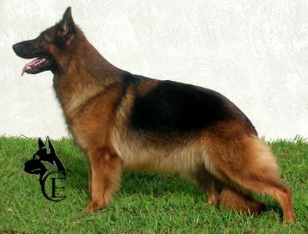 Onta Z Jihomoravskeho Kraje