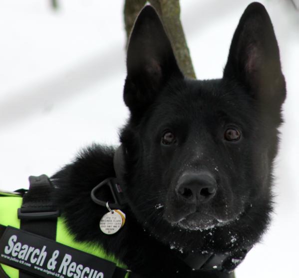 U-CH Altpeter vom Gildaf