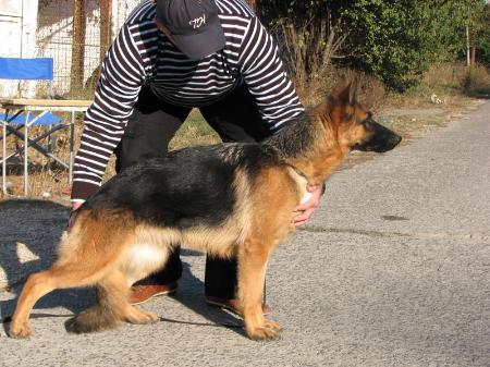 Maxi Aus Westsachsen