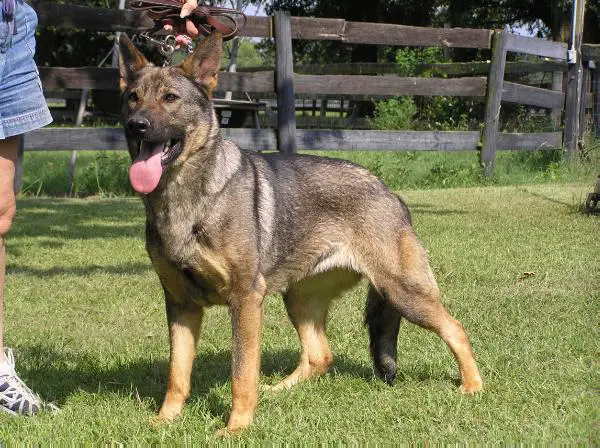 Iris Skocicka Samota