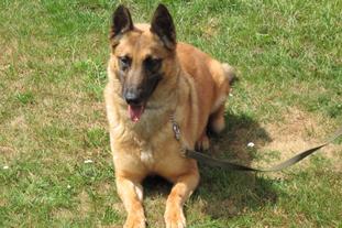 Amy van Hof ter Eyndoven