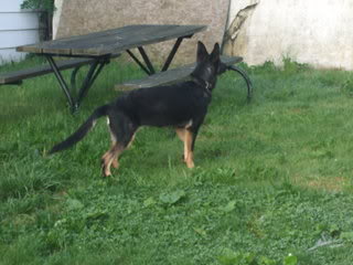 Simply Reichteous Von Vader