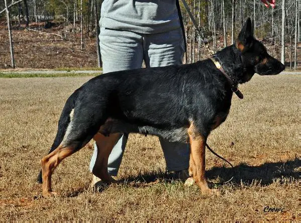 Greta Von Haus Thomas