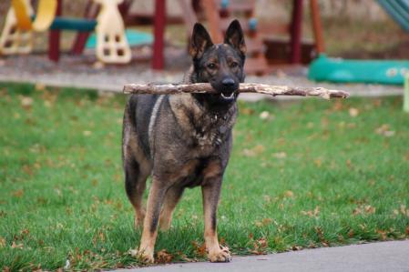 Meri Berg Gira Jipo - Me