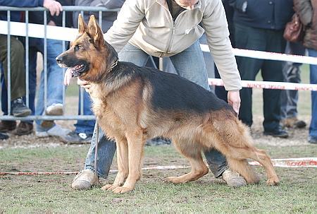 JKLH SG 3 (FRA) Undy de Marion Val