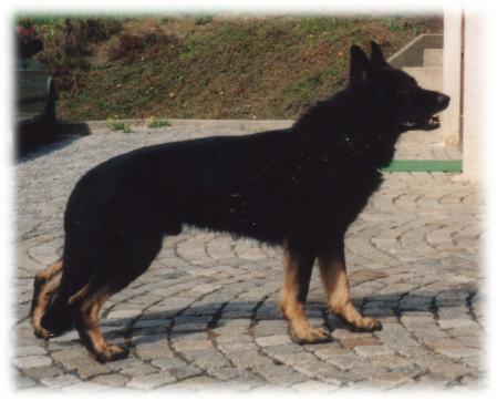 G Arco vom Rhenania Eck