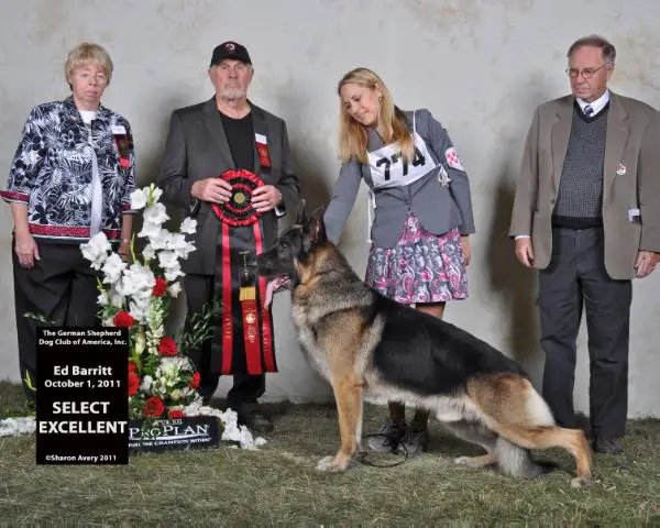 SEL EX CH (US) HiCliff Free N Easy