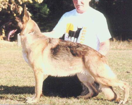 Proven Hill's Up N'At It of Tamar