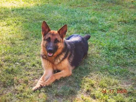 Cottie Von Weiss Haus