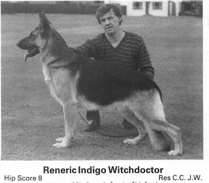 Reneric Indigo Witchdoctor