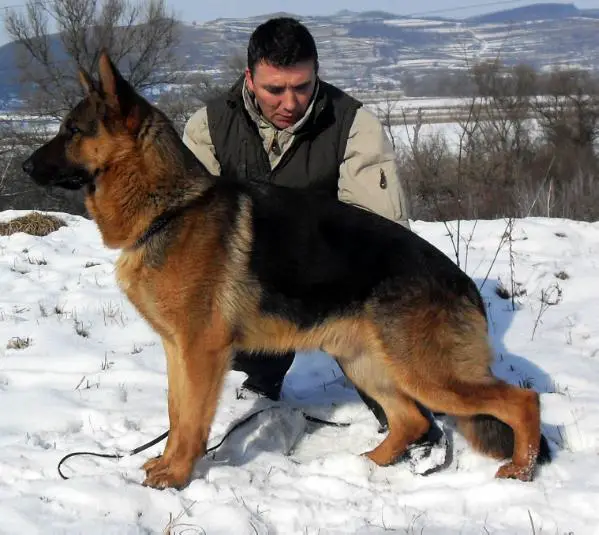 SG6(RO) 2009 CANN VAN PAVORA