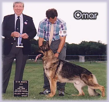 Tollhaus Creekvue Tuscan Sun