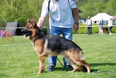 Cello du Moulin du Kronthal