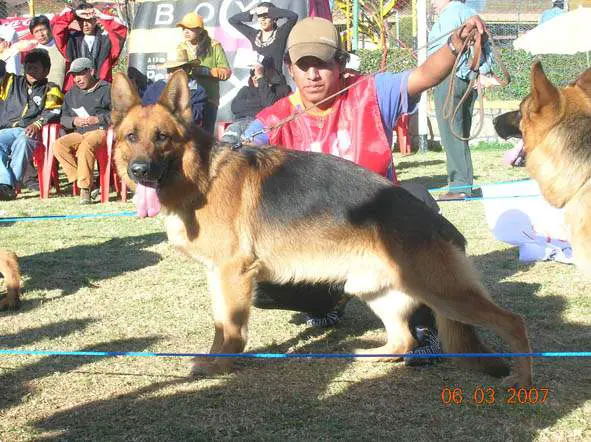 Mac Osam von der Borg