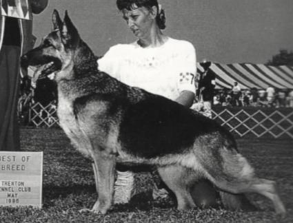 Caper's Acres IM A Rare Coin