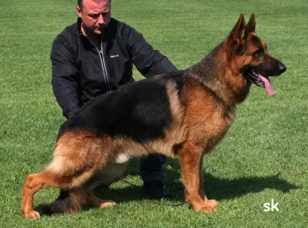 VA3 Danny von Wilhendorf