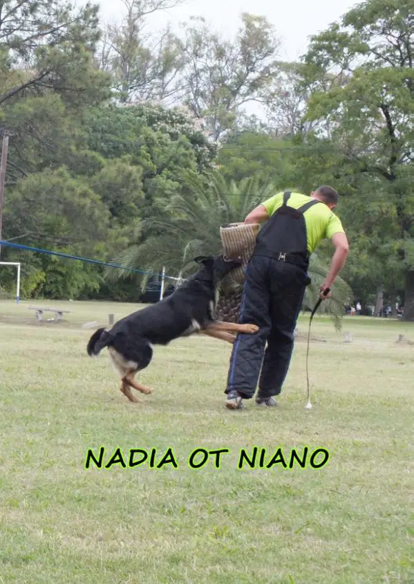 Nadia ot Niano