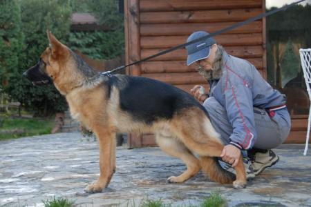 Scott aus der Brunnenstraße