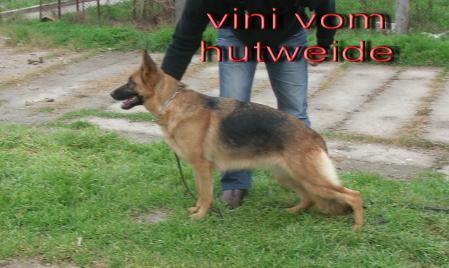 VINI VOM HUTWEIDE