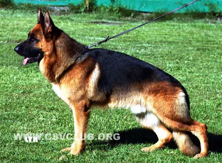 V Quanto dell' Utveggio