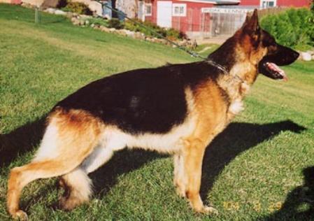Ducash Von Firmar