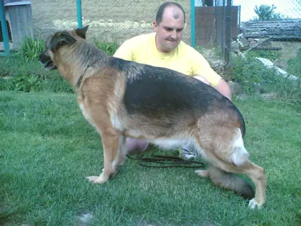 SG ,SG Batorfia Linda