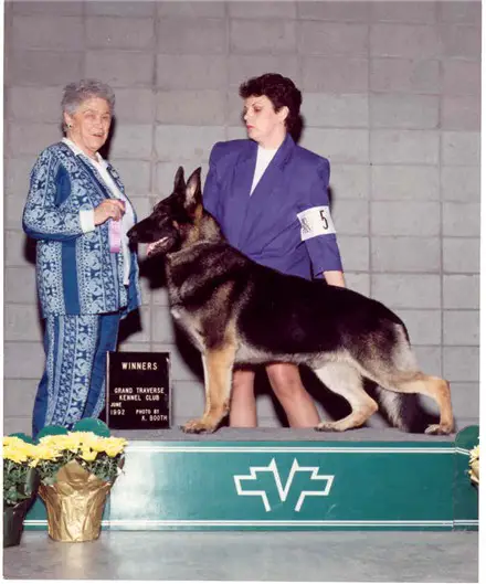 CH (CAN) Yubon's Yancey