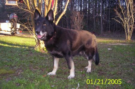 cyrenas ace vonbarron