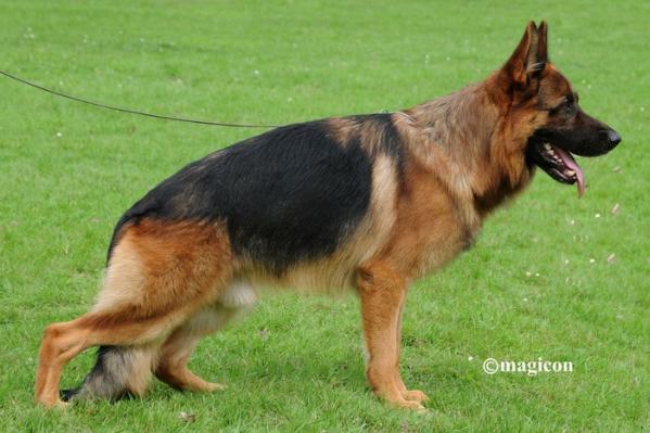 VA1 (SA) Bix von Arlett