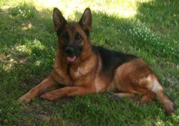 Karmen del Miglio d'Oro