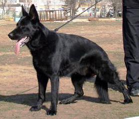 V Xoro vom Ludwigseck