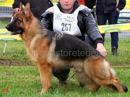 Lothar dell isola dei baroni