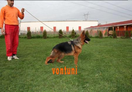 contra von tuni