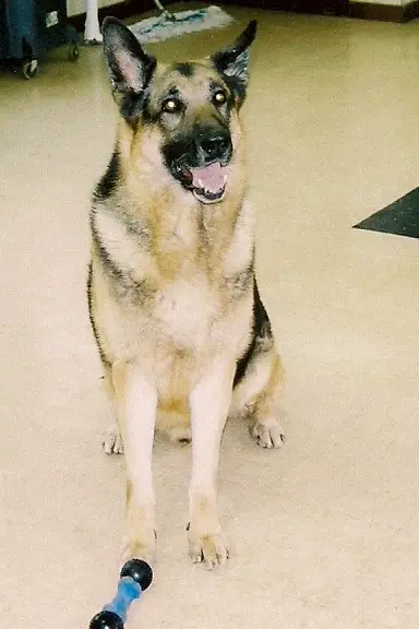 Samson Von Doran