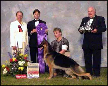 2X SELECT CH Trafalgar's Pacific Chai