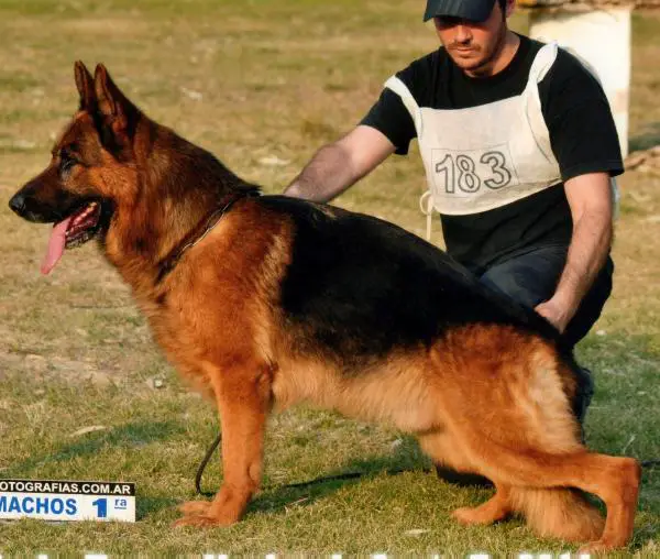 VA 5 (ARG. 2011) Kuanip von del Selk'Nam