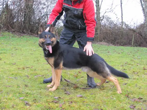 Justice z Eurosportu