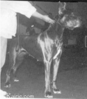 Chanel de la Falgueyret