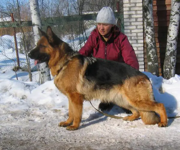 V Shvartsen Vald Zhozefina