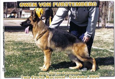 Owen von furstemberg
