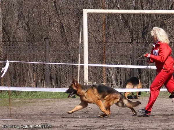 Rus Gerts Adell Imperiy