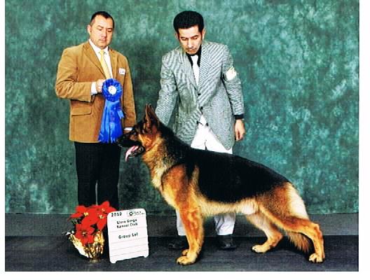 CAN. CH V3 Tattoo vom Team Zellwaldrand