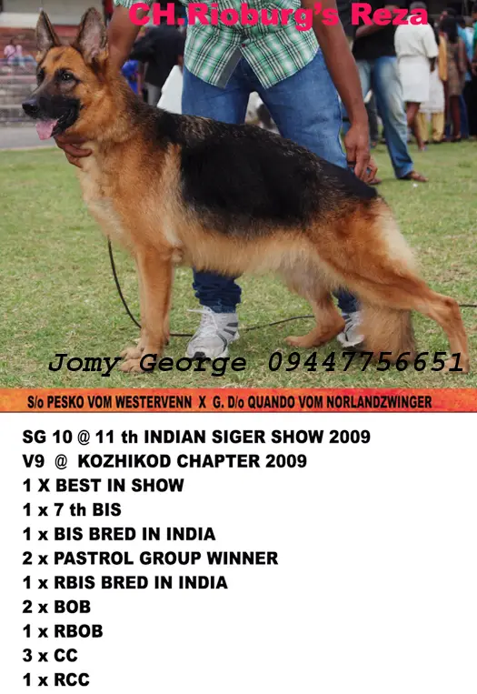 SG 10 INDIA CH Rioburg'S reza