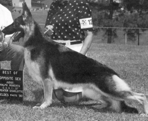 CH (US/CAN) Covy-Tucker Hill's Dulcenia