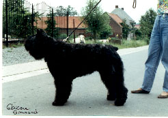 Obicere v. Tfredevink