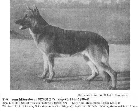 Stern vom Mäuseturm