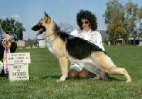 CH (US) Lealynn's Olivia