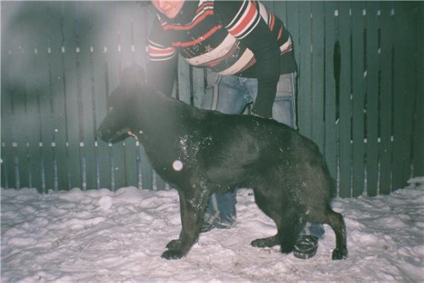 Amanda Goldstar in the Best Friends