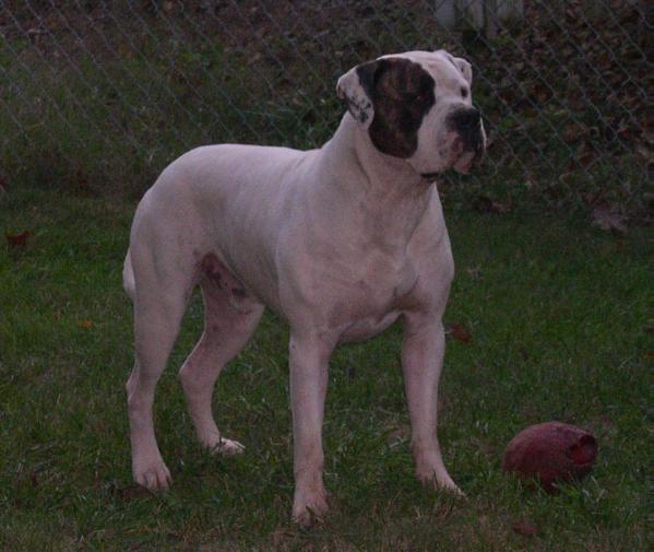 Gunslinger's Roland of Gilead