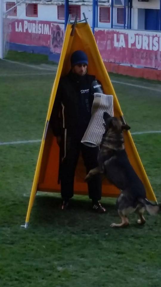 Sumo de Salto Roldan